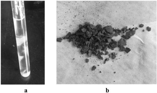 Metal iridium-triazole crystal-graphene oxide ternary nonlinear optical material and preparation method thereof