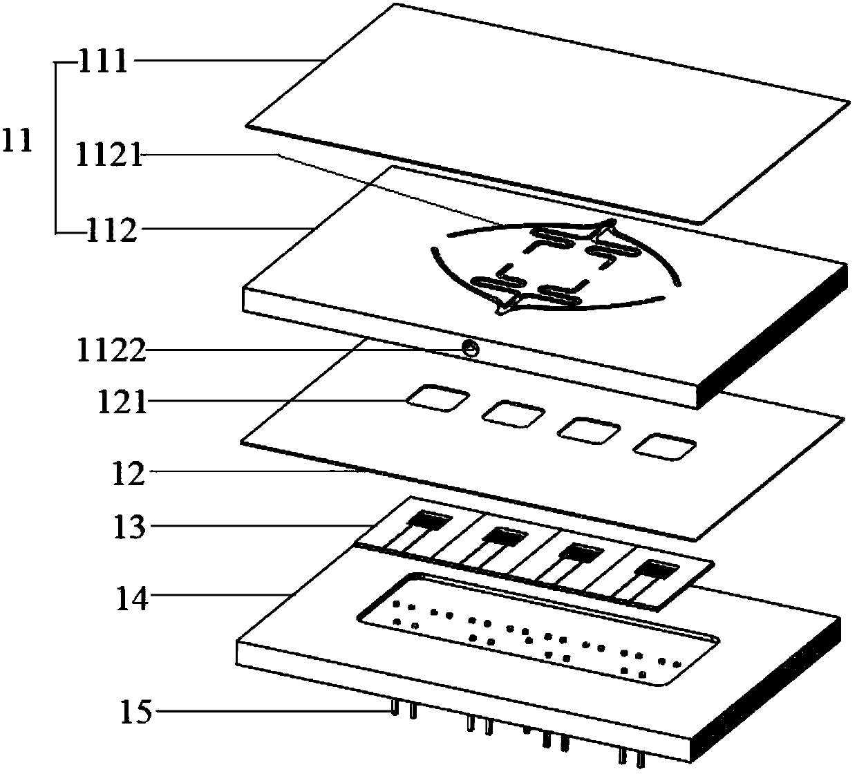 Lamb wave sensor, biological detection chip and rapid screening system