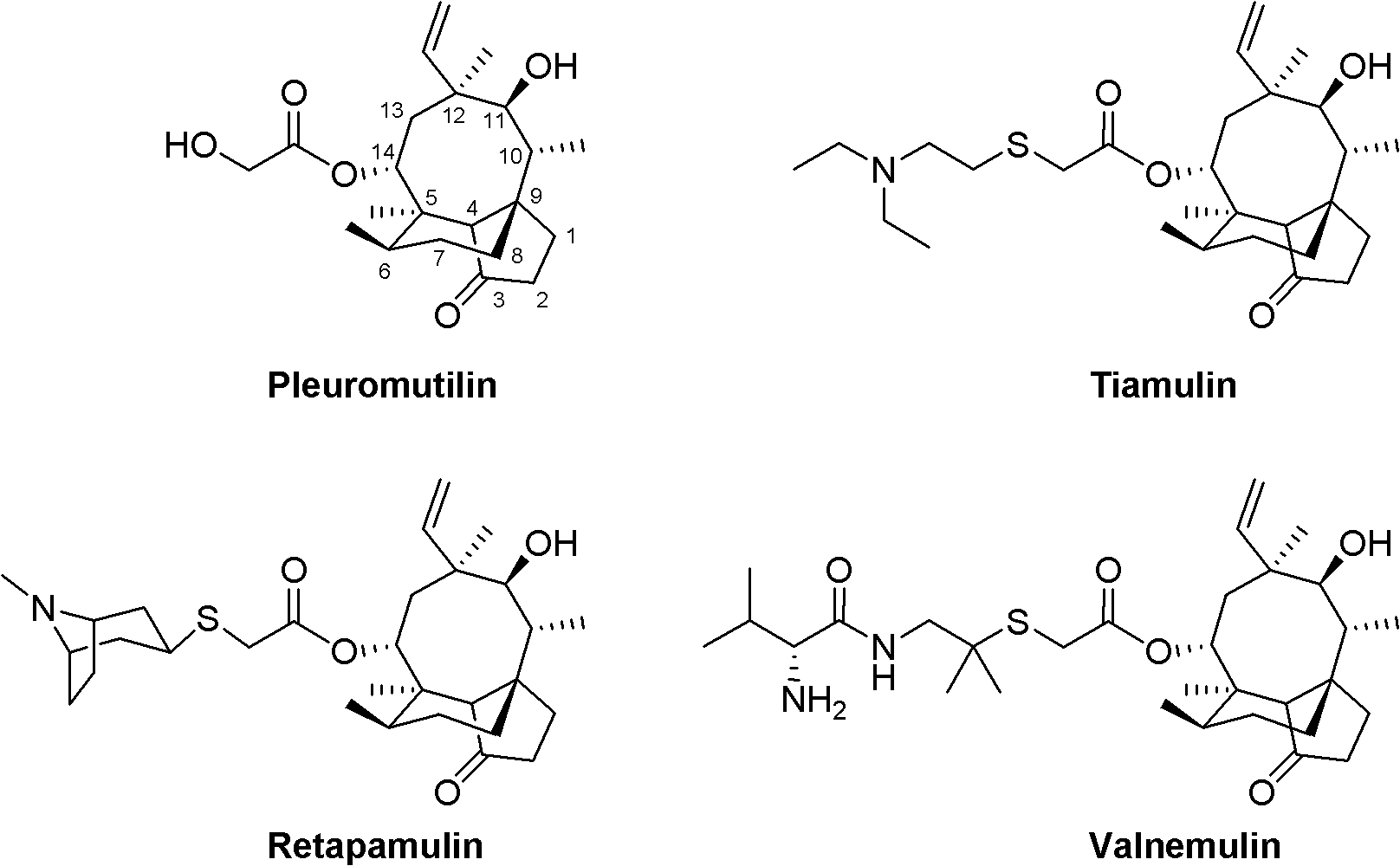 Mullinyl acetate containing substituted squaraine and its application