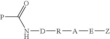 Transglutaminase mediated conjugation of peptides