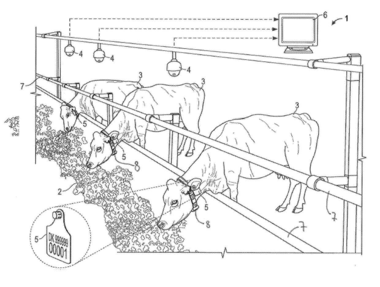 System for determining feed consumption of at least one animal