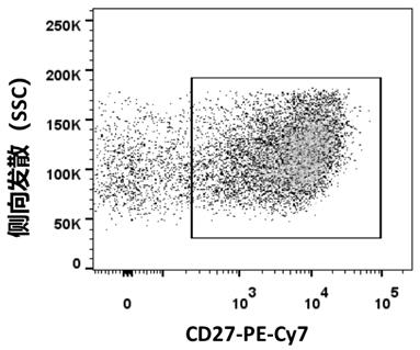 Fully human monoclonal neutralizing antibody for resisting novel coronavirus and application of fully human monoclonal neutralizing antibody