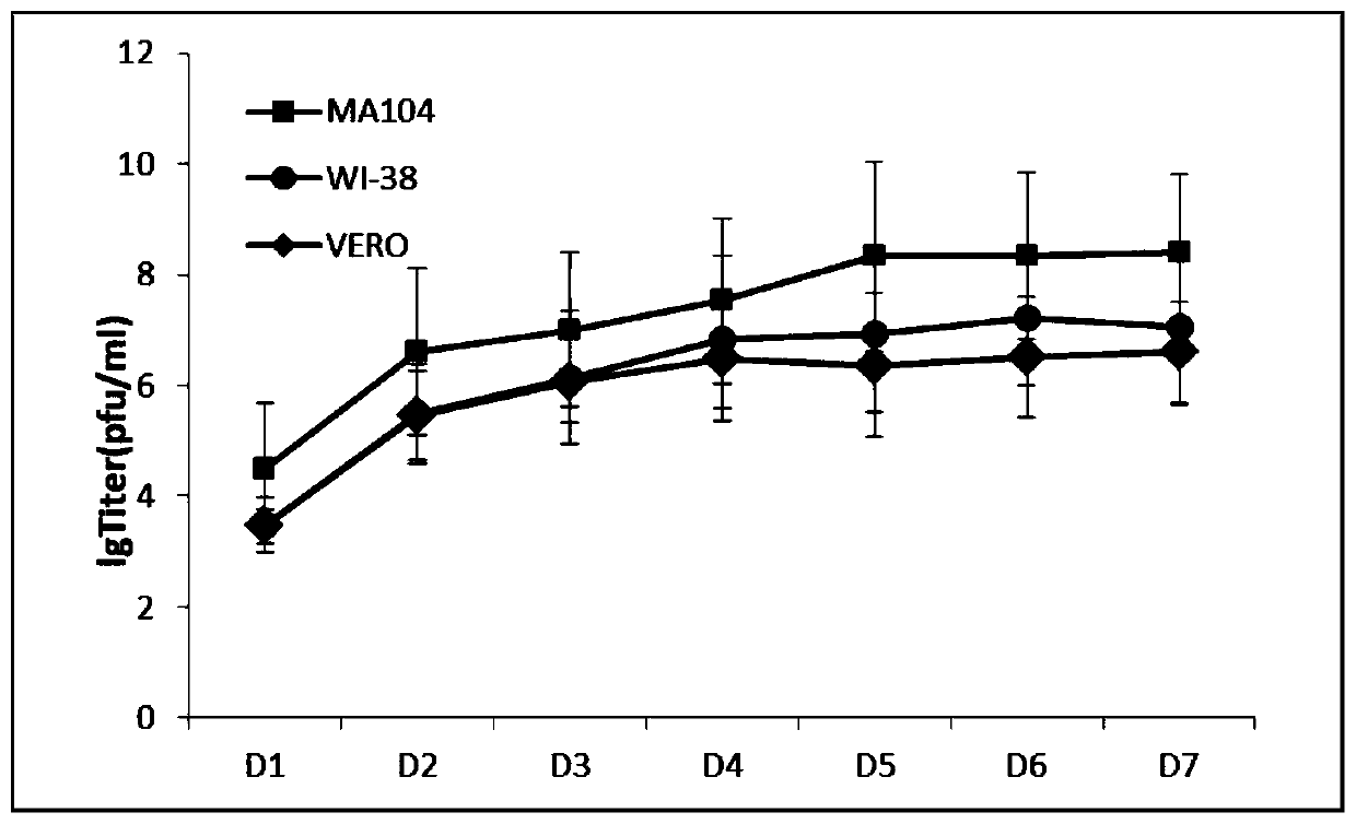 Human parainfluenza virus type 3 (HPIV-3) wild strain and application thereof