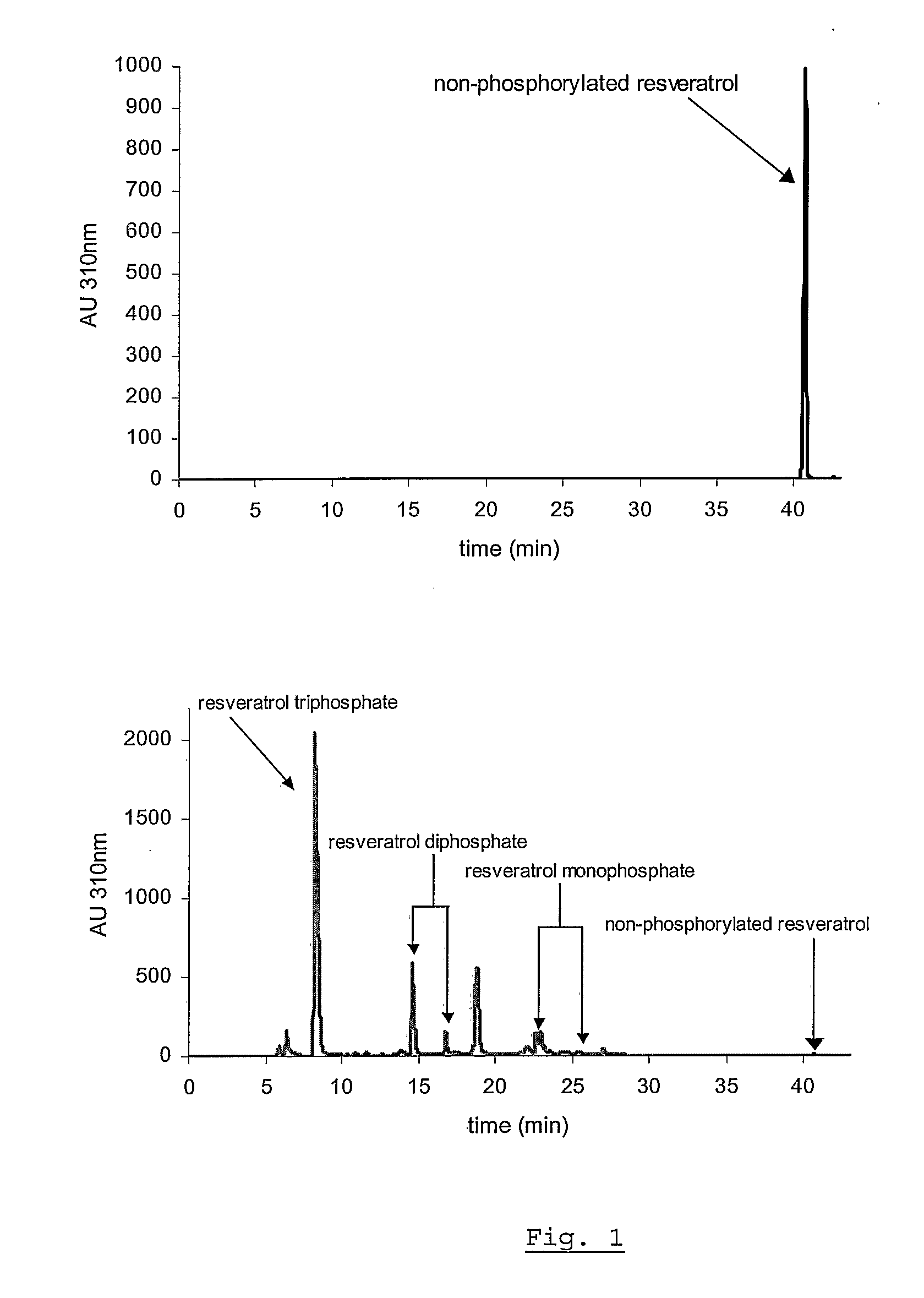 Topical Compositions Containing Phosphorylated Polyphenols