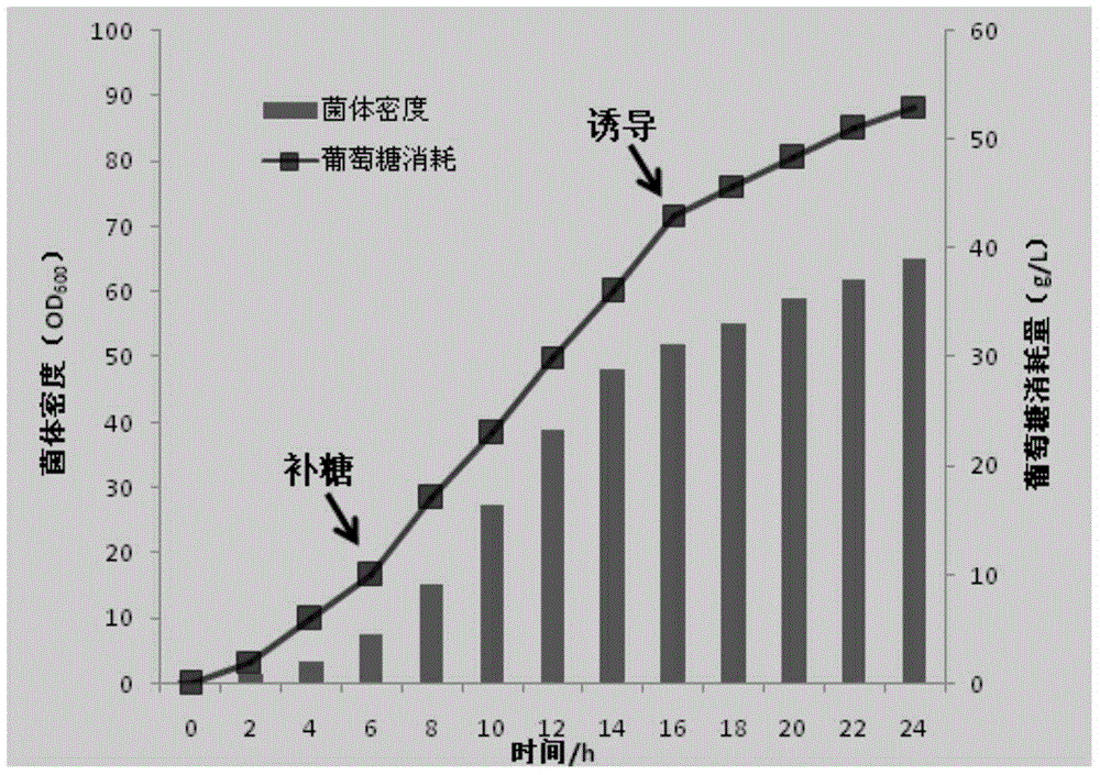 A method of producing ectoine by high-density culture of recombinant escherichia coli