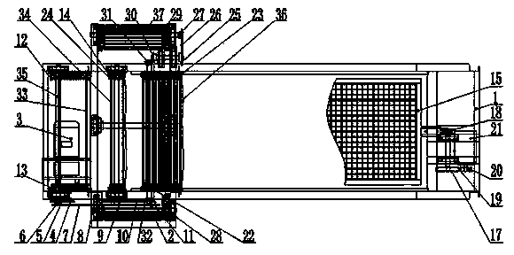 Lychee branch removal machine