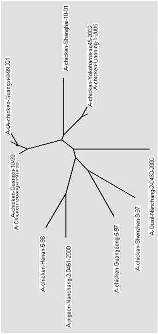 Preparation method of standard sample of H9N2 subtype avian influenza virus