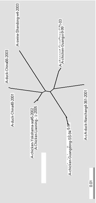 Preparation method of standard sample of H9N2 subtype avian influenza virus