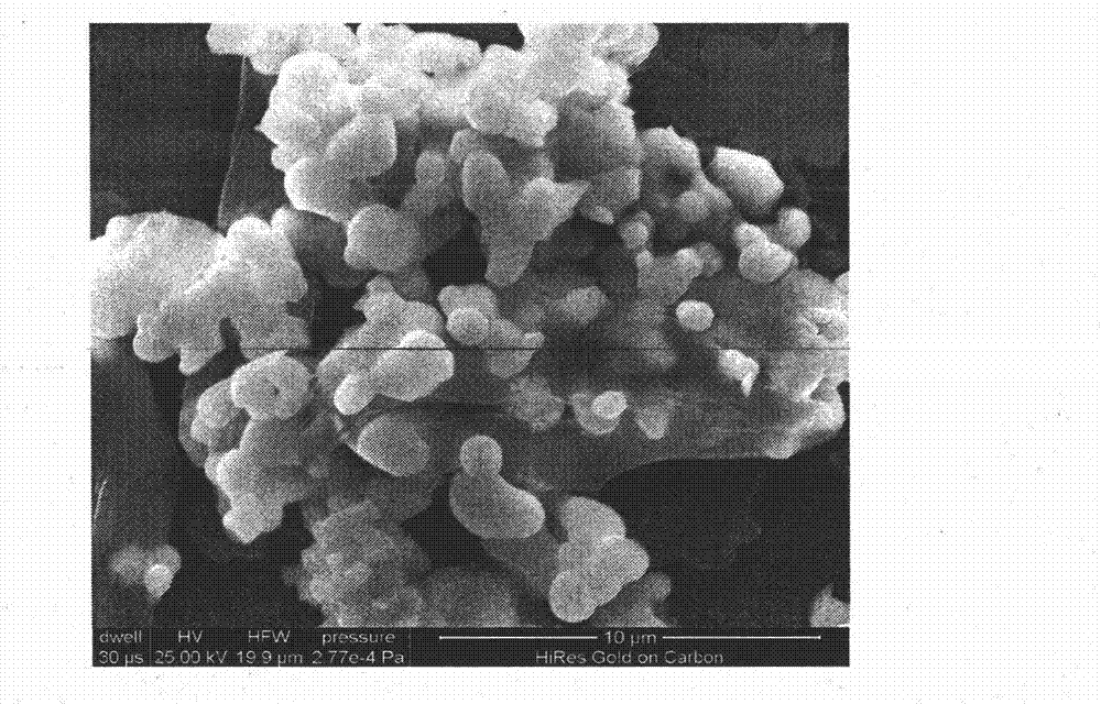 Pr, Eu/Tb co-doped tungstate/molybdate fluorescent powder and preparation method thereof