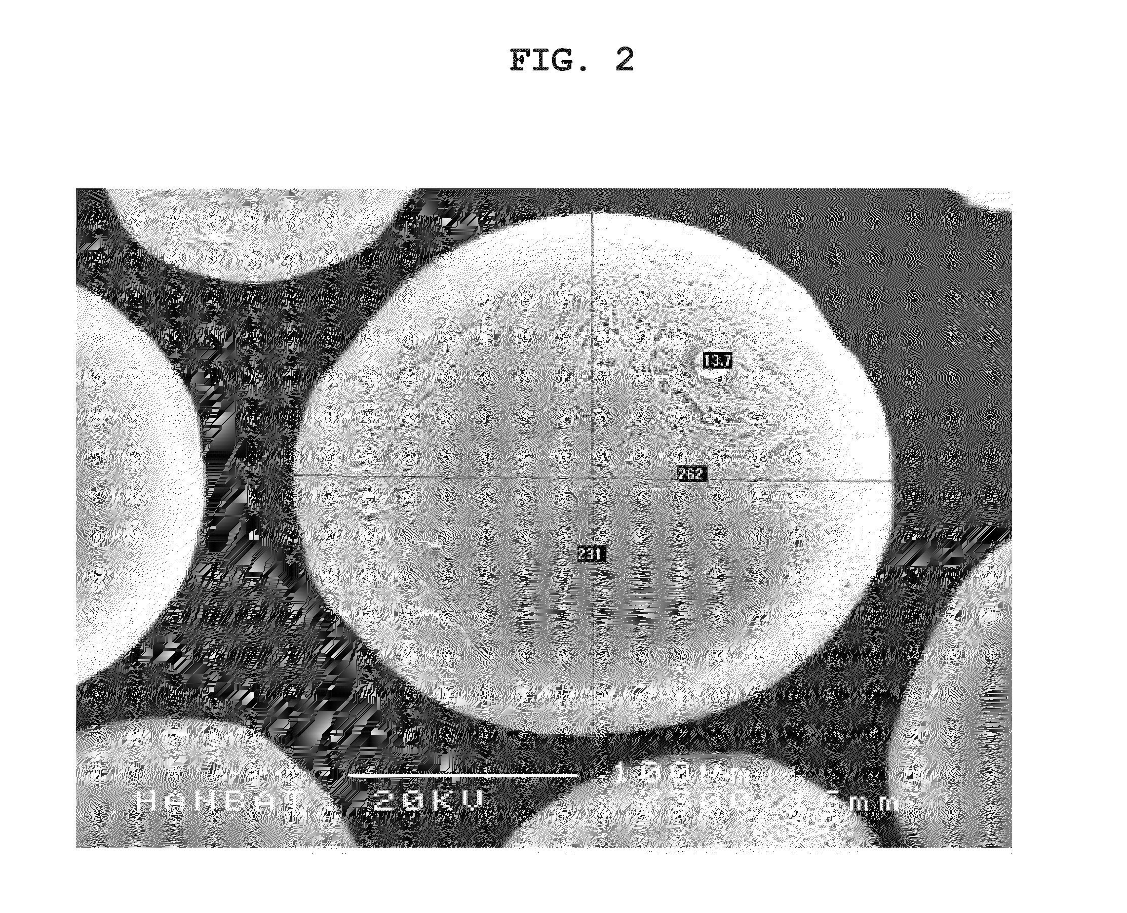 Biodegradable polymer microparticles and preparation method thereof