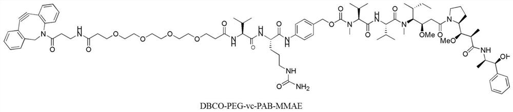 A kind of preparation method of antibody-conjugated drug, antibody-conjugated drug and application