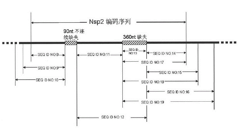 Detection reagent and detection method for PRRSV