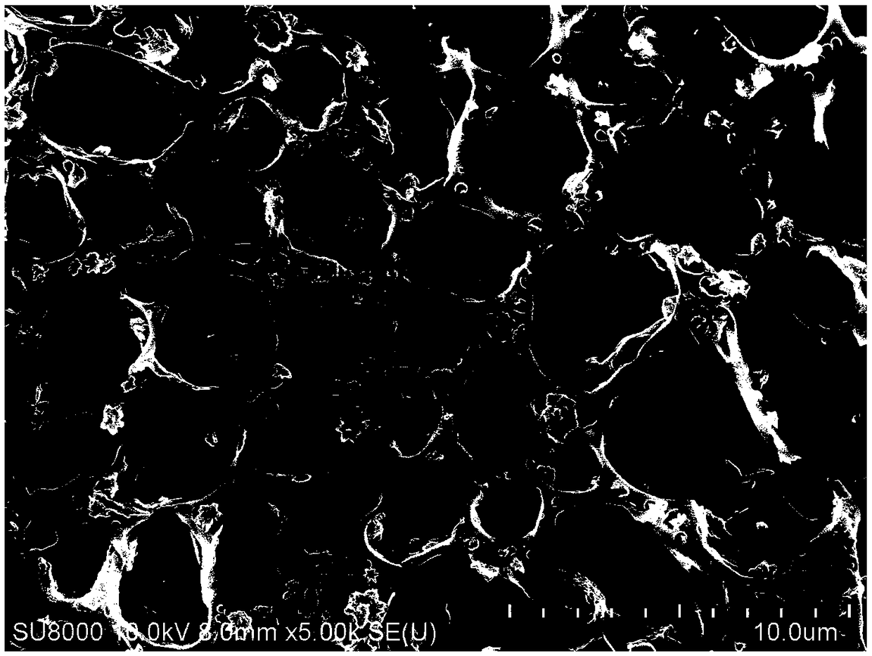 A porous monoionic conductive polymer electrolyte membrane and a preparation method and application thereof