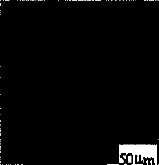 Equipment and method for preparing fibre-optical microprobe by siphon lifting method corrosion