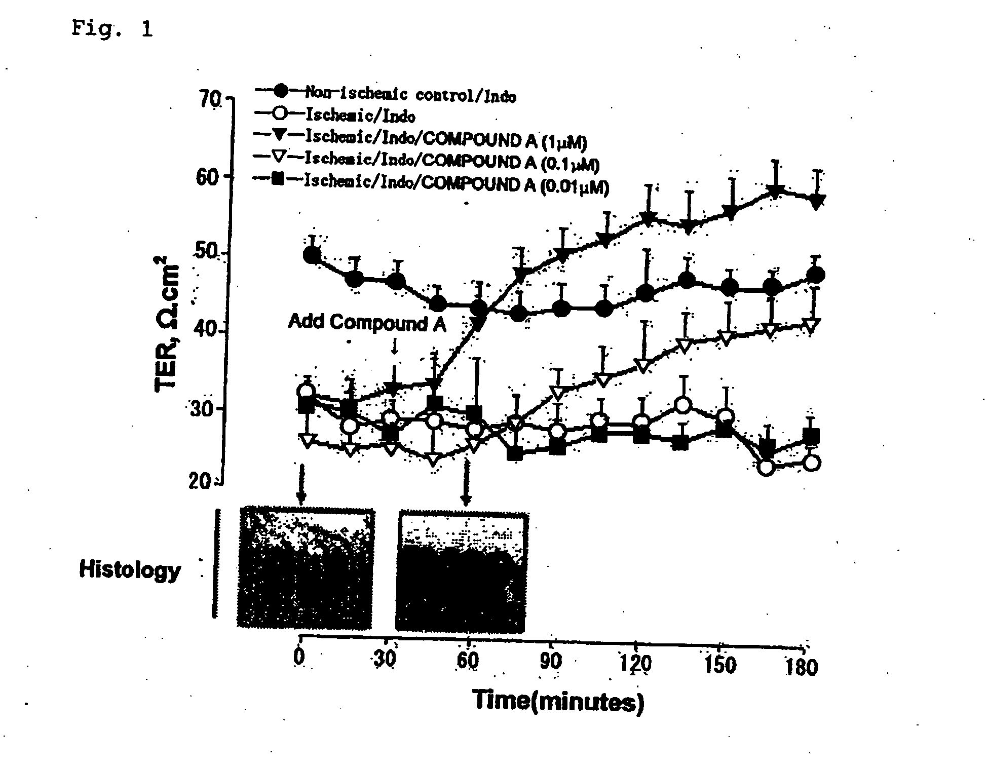 Method for treating mucosal disorders