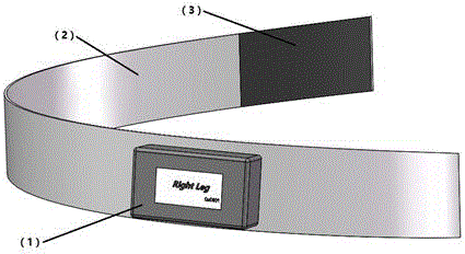 Quantitative detection device for equilibrium stability of posture of Parkinson's disease patient