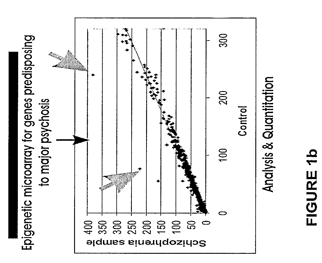 CpG-amplicon and array protocol