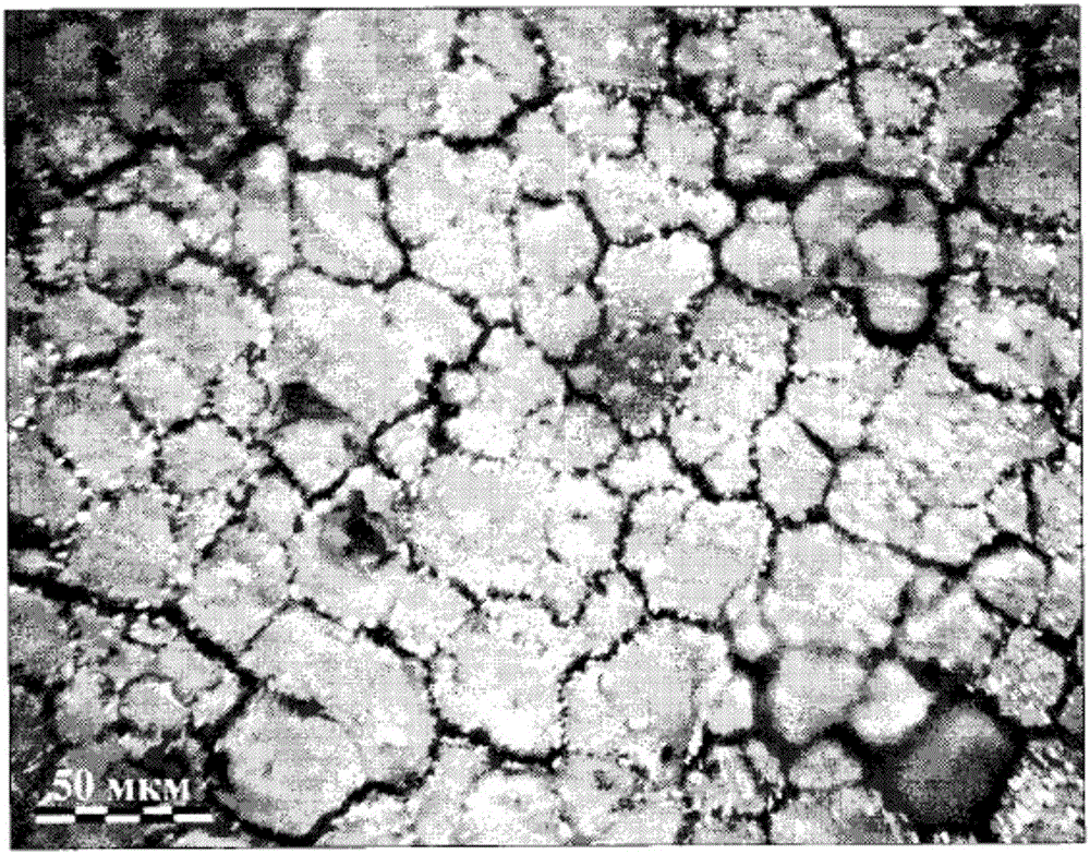 Nuclear fuel pellet having enhanced thermal conductivity, and preparation method thereof