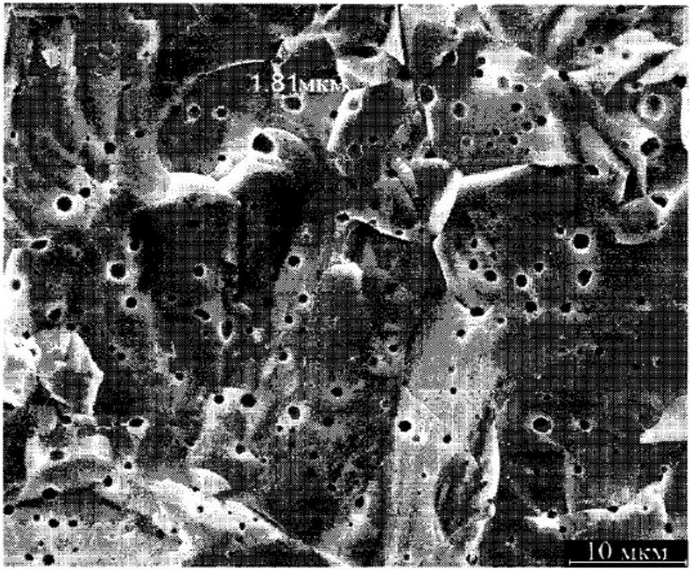 Nuclear fuel pellet having enhanced thermal conductivity, and preparation method thereof