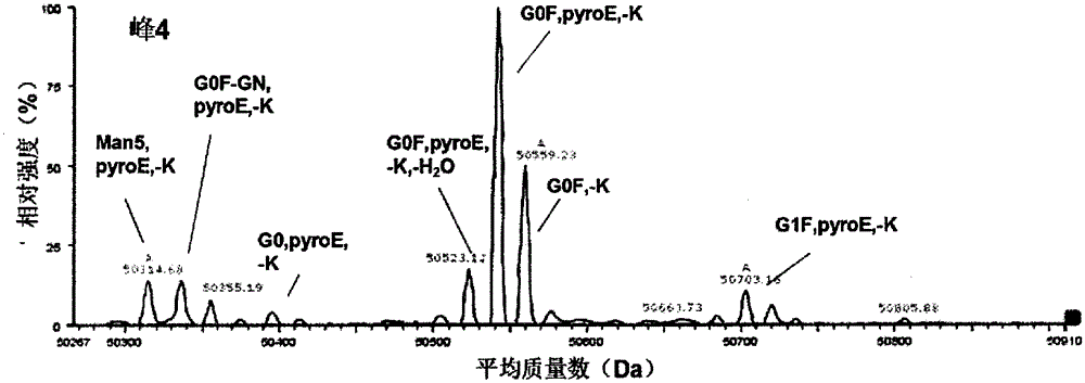 A method for determining the glycosylation and terminal modification of immunoglobulin charge variants