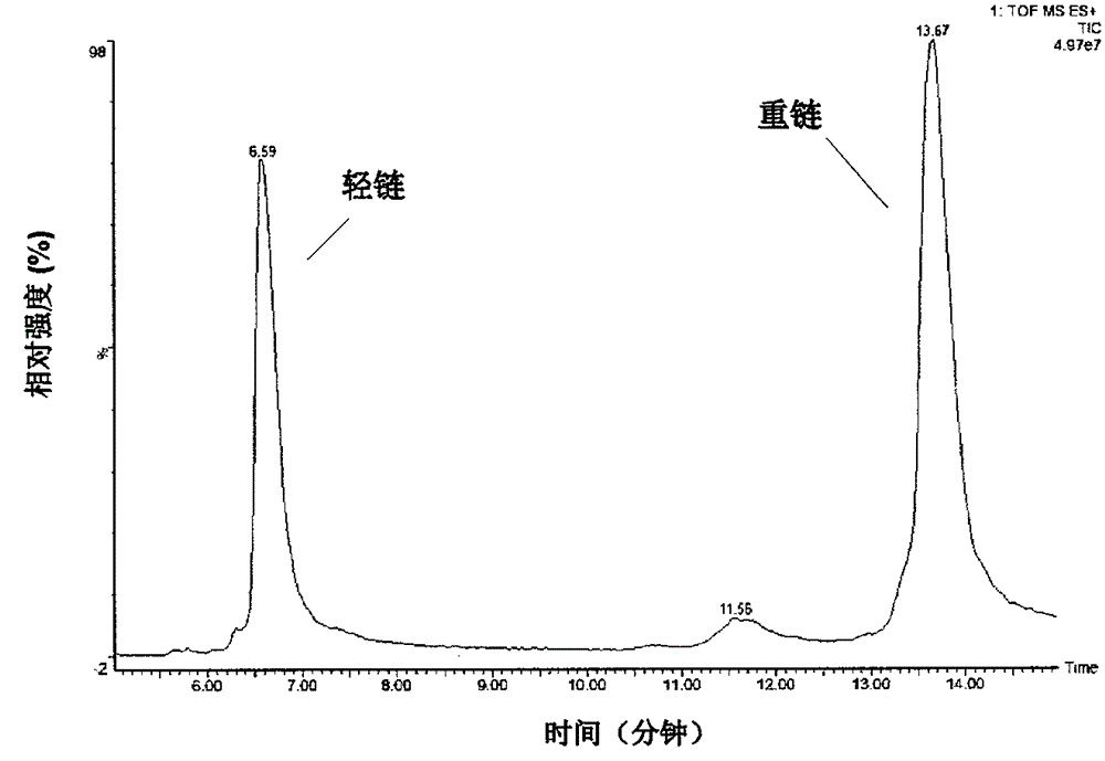 A method for determining the glycosylation and terminal modification of immunoglobulin charge variants