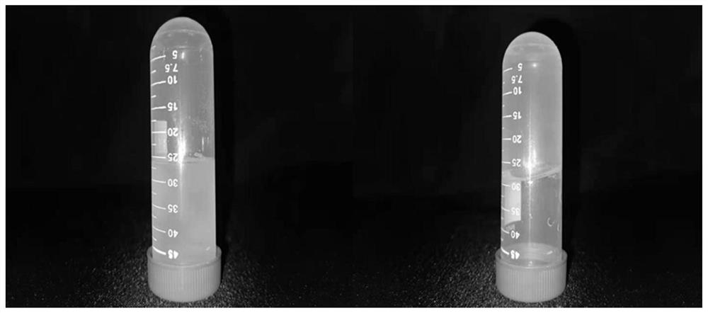 Food leavening agent based on 3D printing as well as preparation method and application of food leavening agent