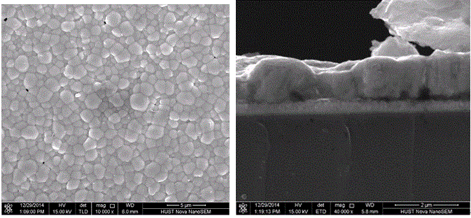 High-orientation antimony selenide thin film and preparation method therefor