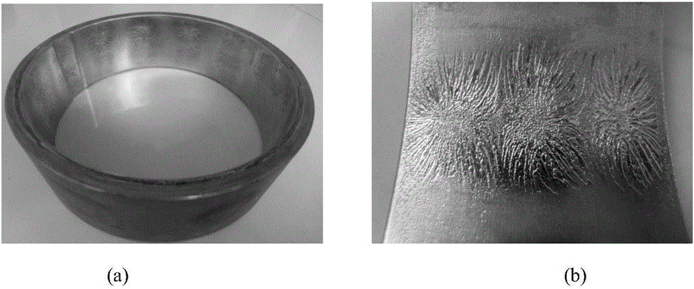 Method for preparing Ni-SiC composite coating on inner surface of hollow workpiece