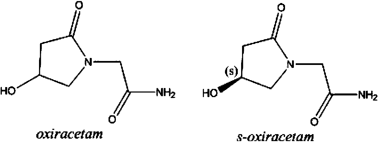 S-oxiracetam sustained release capsule with high particle flowability and preparation method thereof