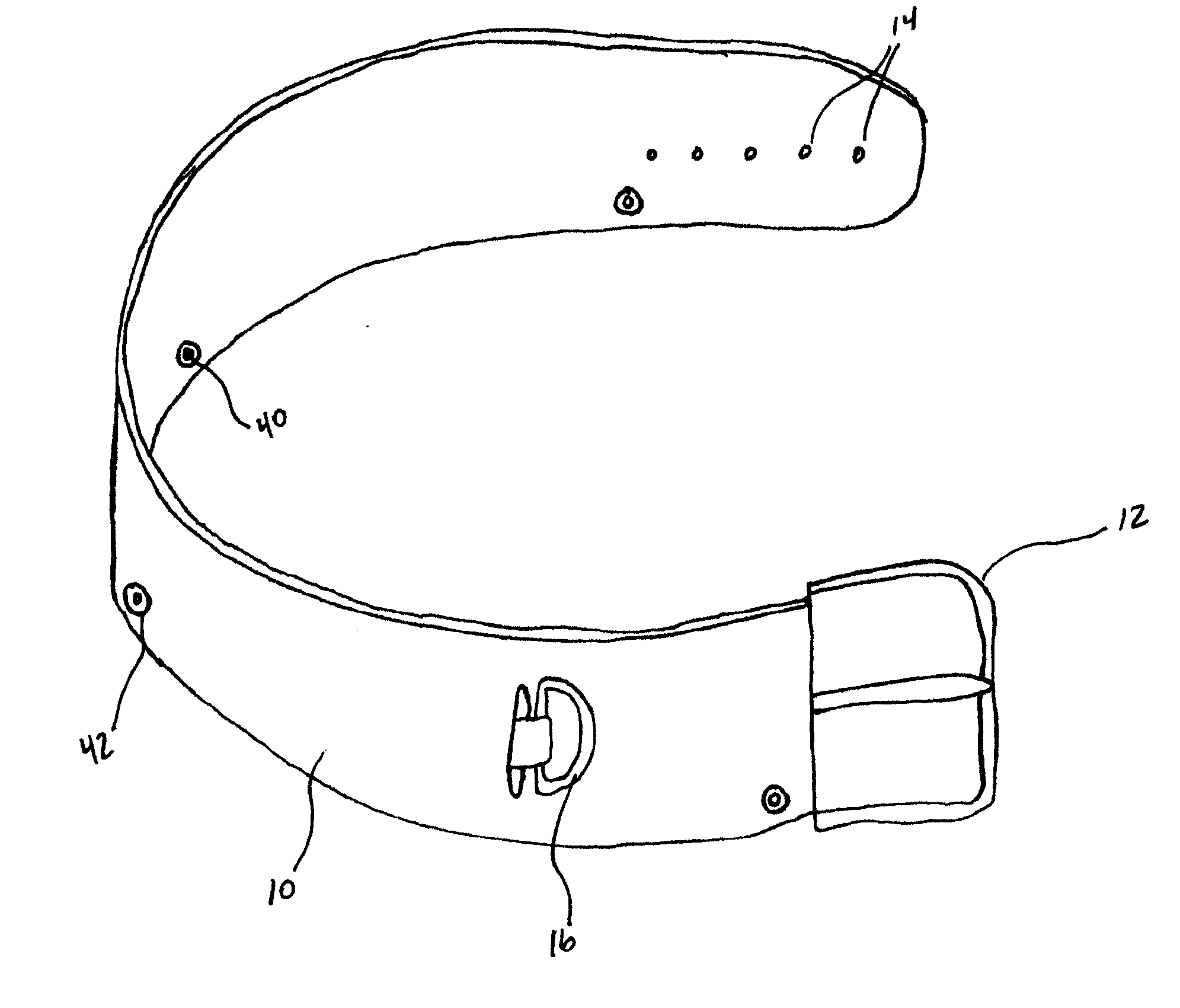 Stability and Safety Weight Belt with Integrated Stability Straps and Safety Harness