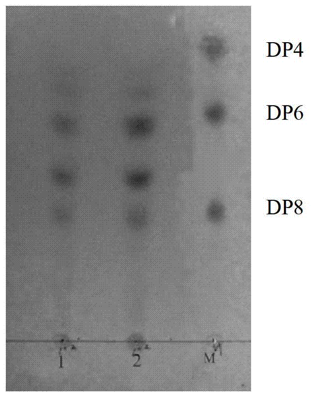 Gracilaria lemaneiformis agar oligosaccharide and preparation method and application thereof