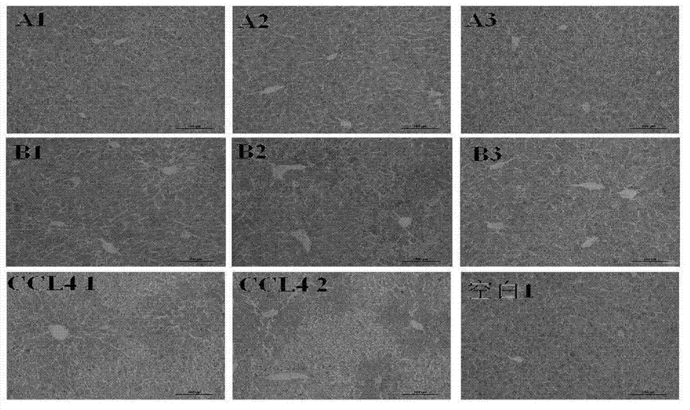 Gracilaria lemaneiformis agar oligosaccharide and preparation method and application thereof