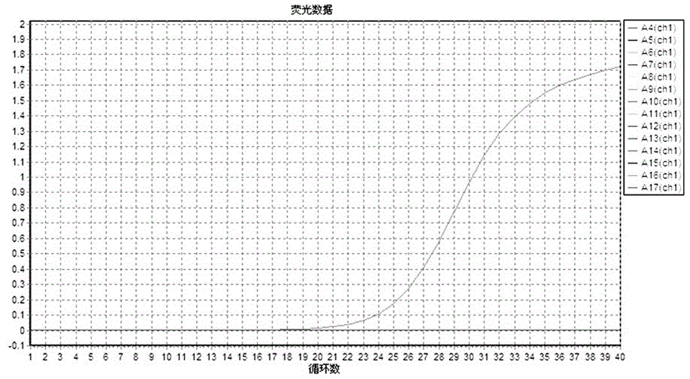 Primers and probes for quantitative detection of Klebsiella pneumoniae and their application