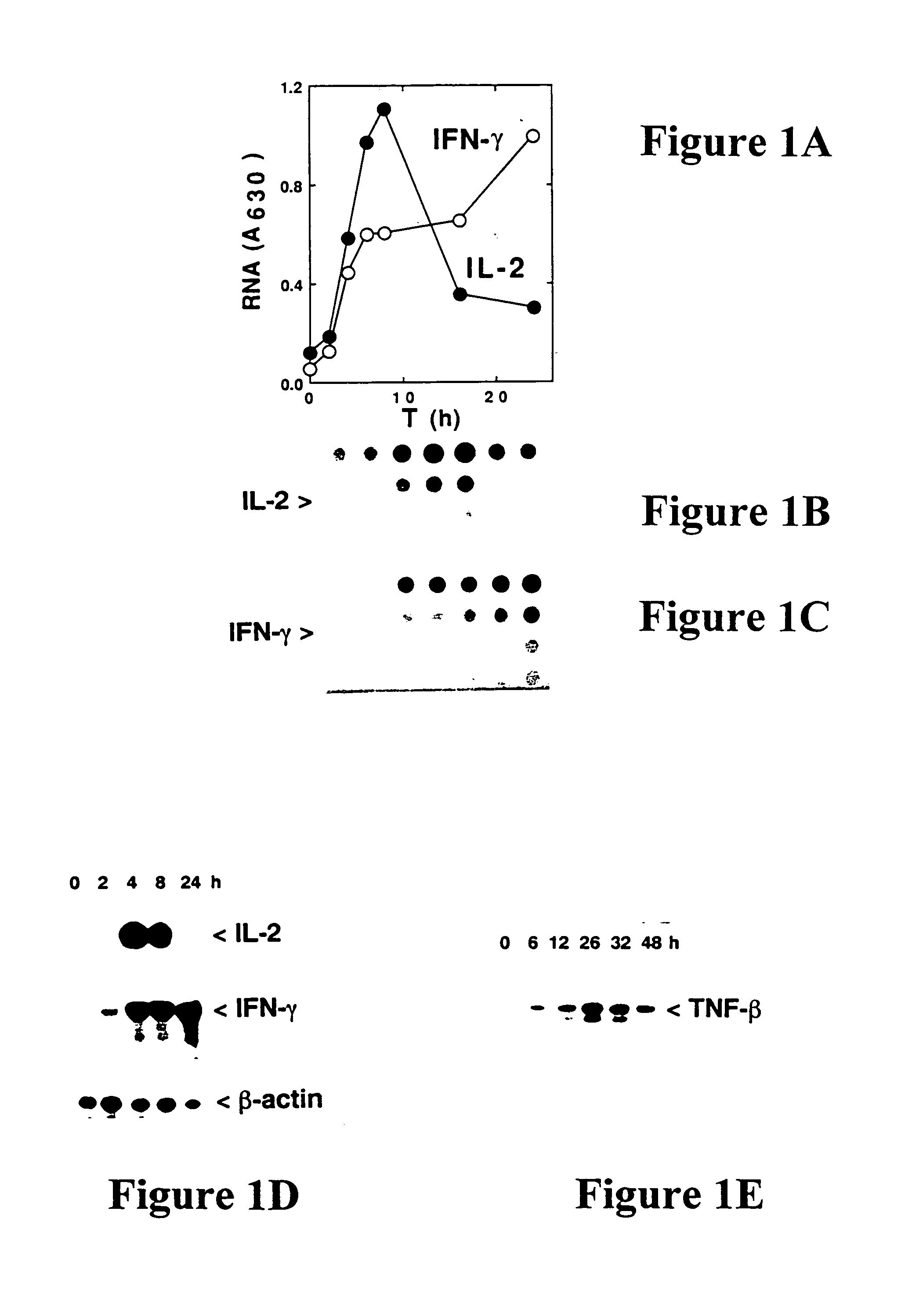 Broad spectrum pyrogenic exotoxins antagonists and vaccines