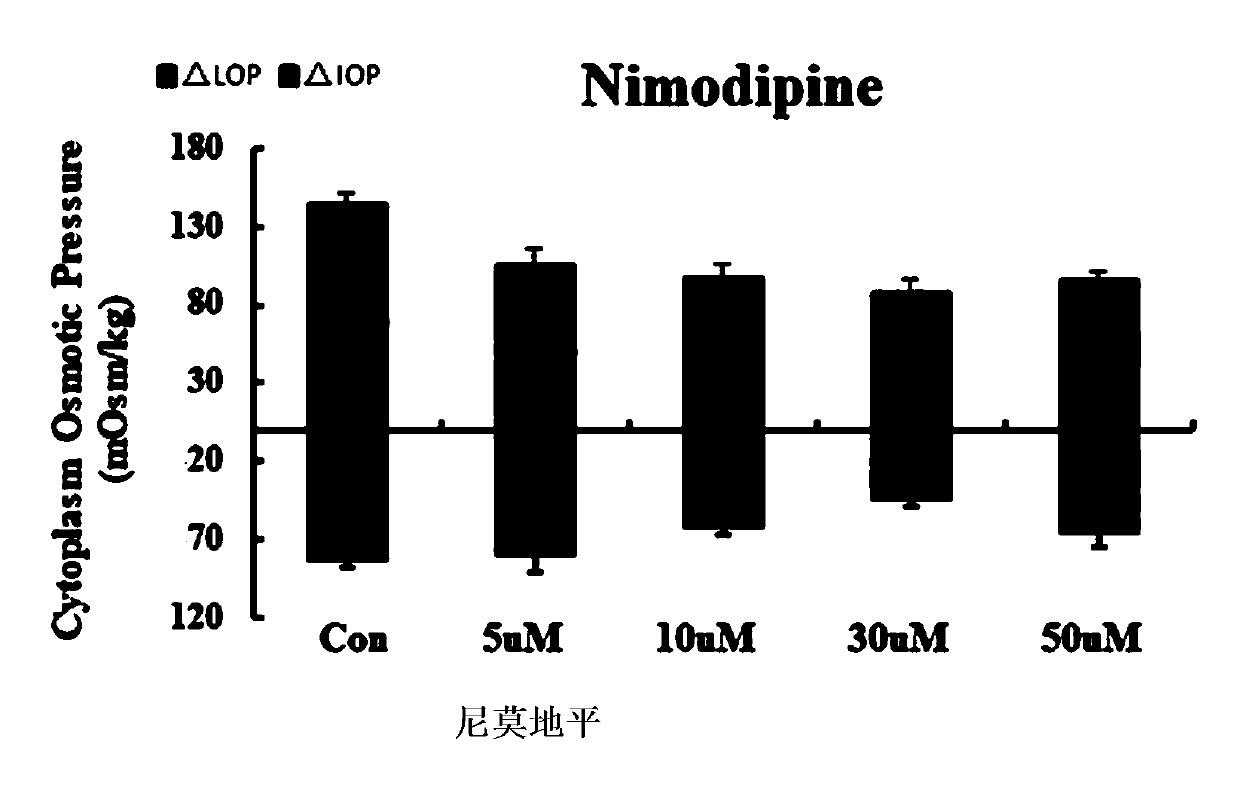 Drug combination targeting intracellular osmotic pressure for the treatment of cerebral edema