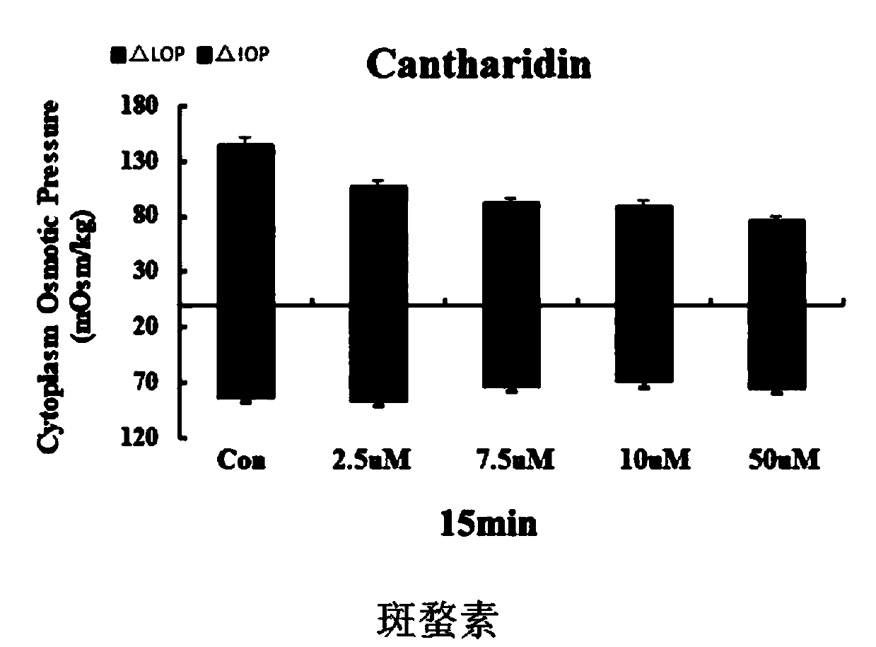 Drug combination targeting intracellular osmotic pressure for the treatment of cerebral edema