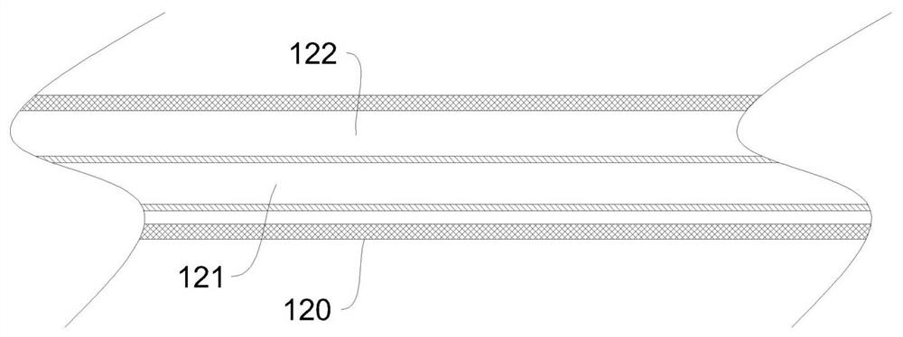 Bimodal optical coherence tomography endoscopic probe