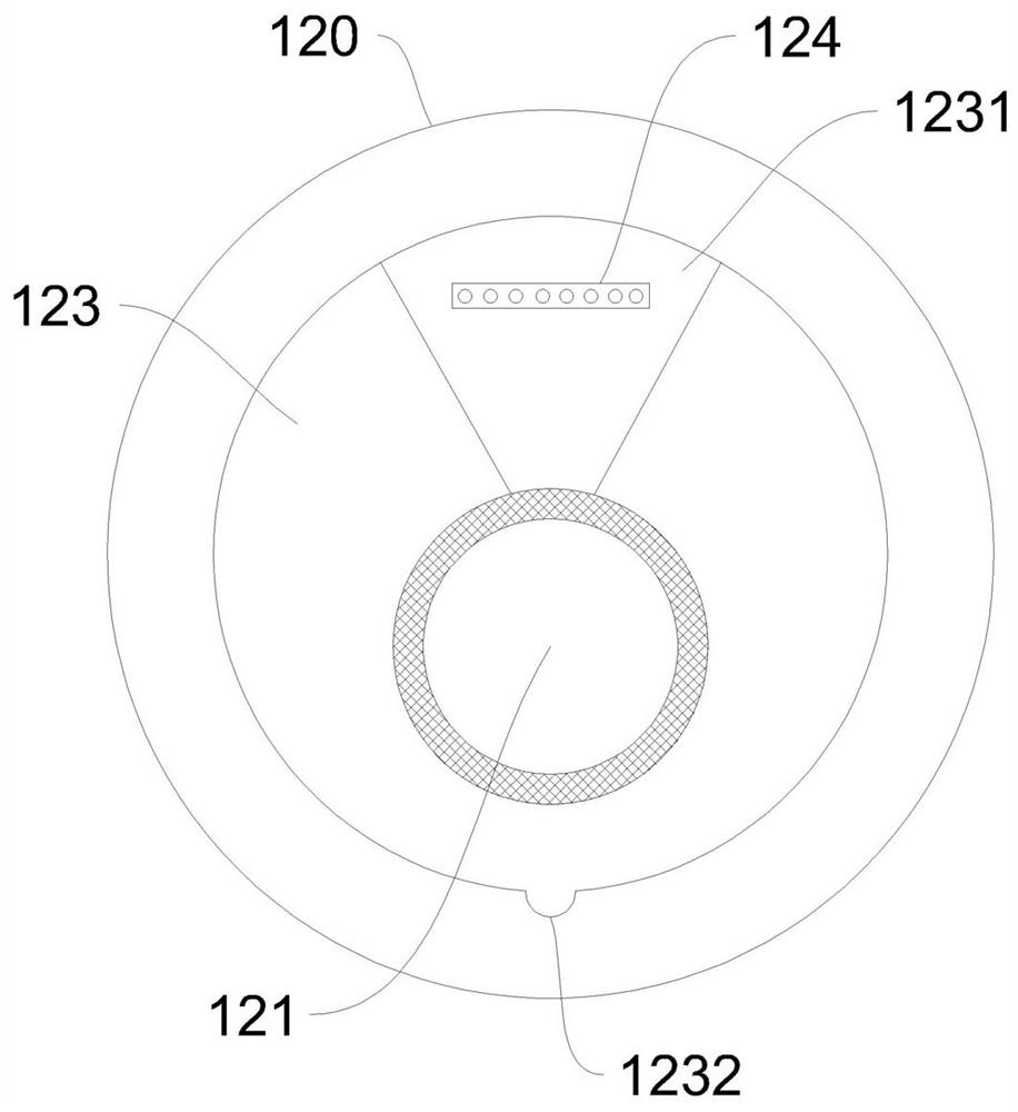 Bimodal optical coherence tomography endoscopic probe