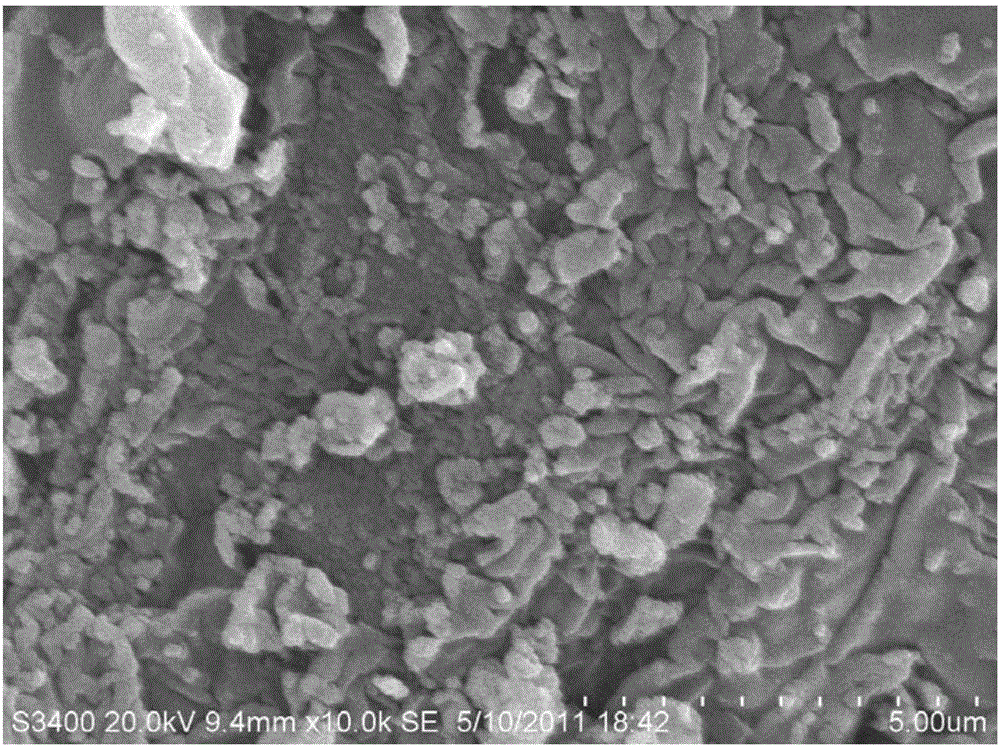 Preparation method and application of activated carbon doped titanium dioxide nano photocatalyst