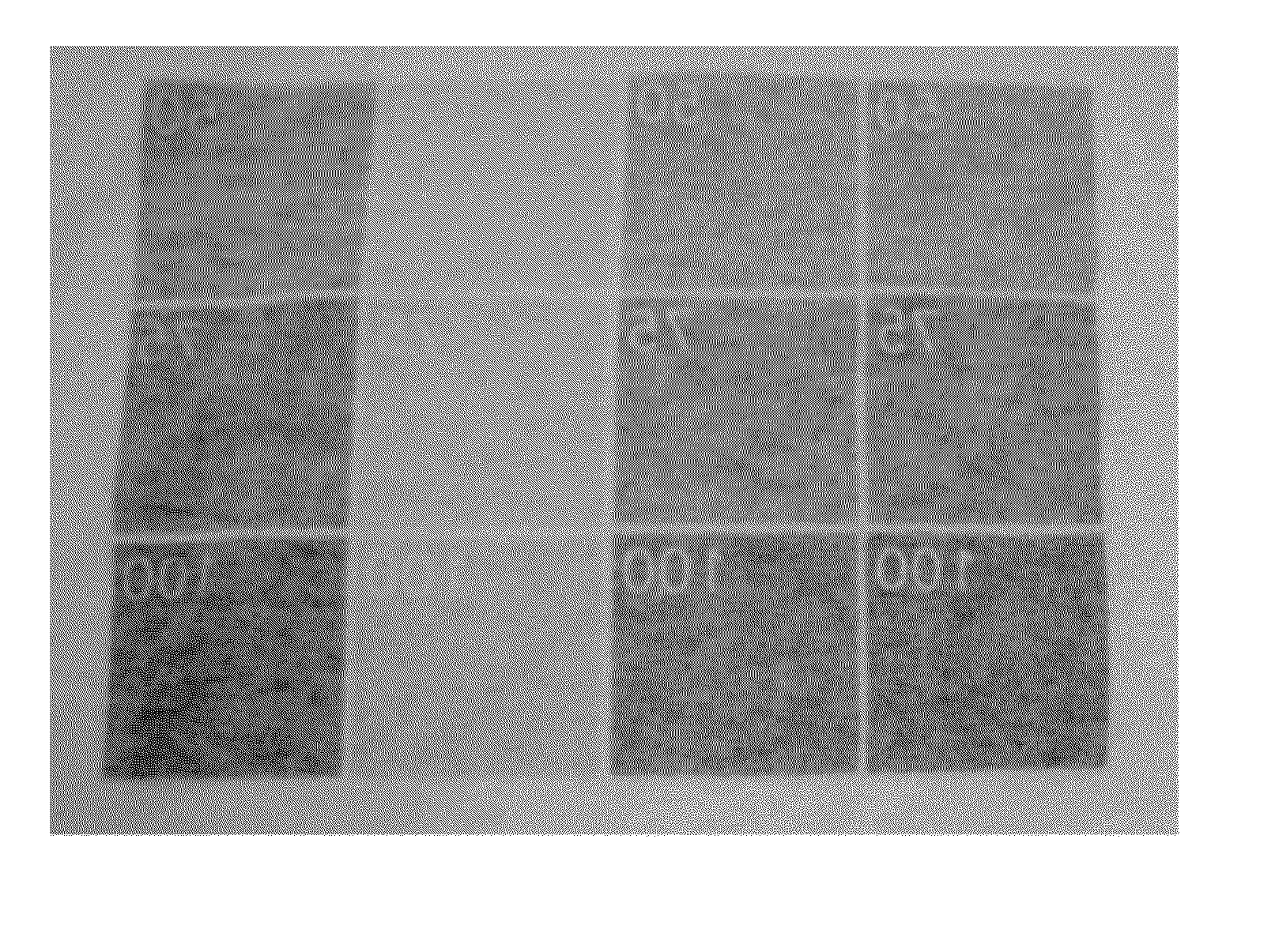 Process for printing images on dark surfaces