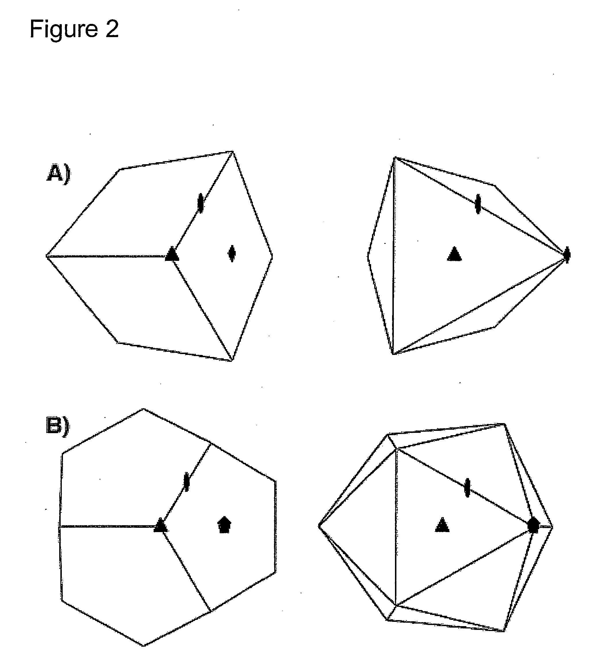 Peptidic nanoparticles as drug delivery and antigen display systems