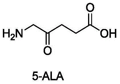 Preparation method of 5-aminolevulinic acid hydrochloride and intermediate of 5-aminolevulinic acid hydrochloride