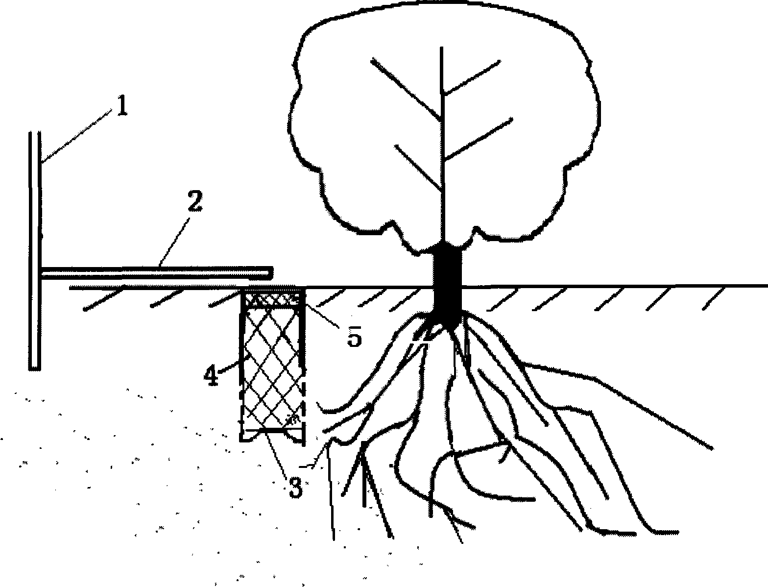 Fertilizing method in condition of drip irrigation for Chinese jujube in mountanious region and sloping field