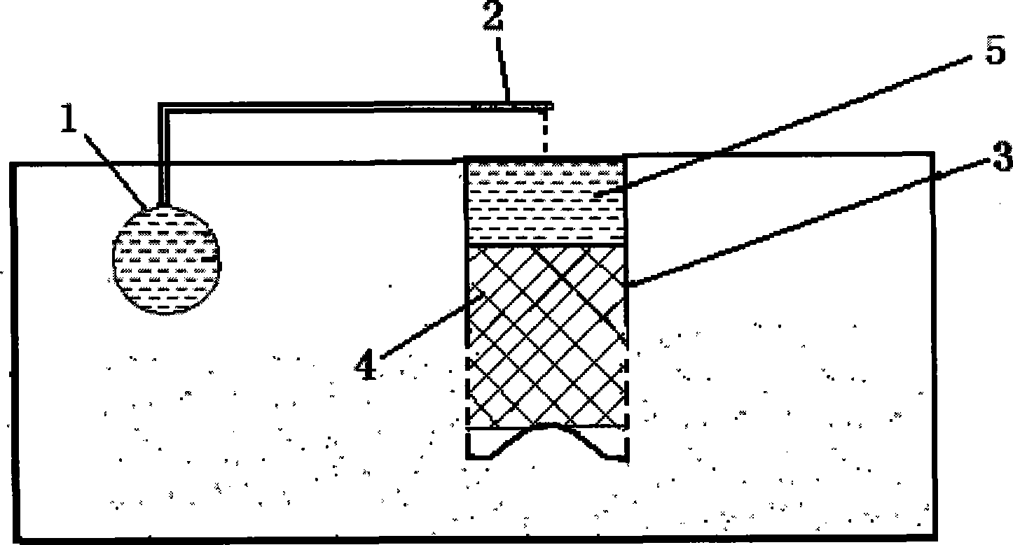 Fertilizing method in condition of drip irrigation for Chinese jujube in mountanious region and sloping field