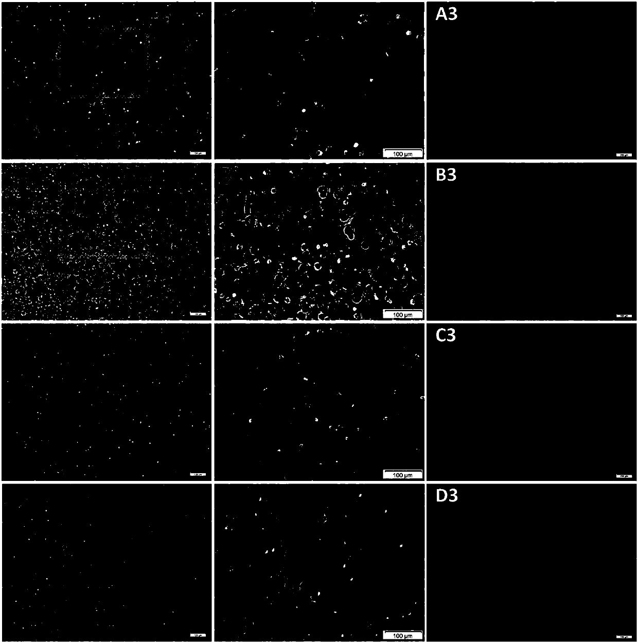 Biogel for treating joint diseases and application thereof