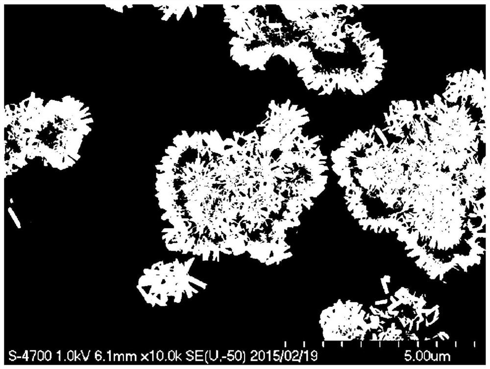 Nickel-manganese-cobalt composite hydroxide, production method for nickel-manganese-cobalt composite hydroxide, lithium-nickel-manganese-cobalt composite oxide, and lithium ion secondary battery