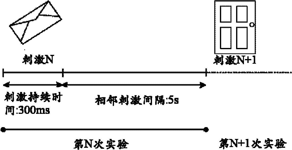 Identity identification method based on visual evoked potential (VEP)