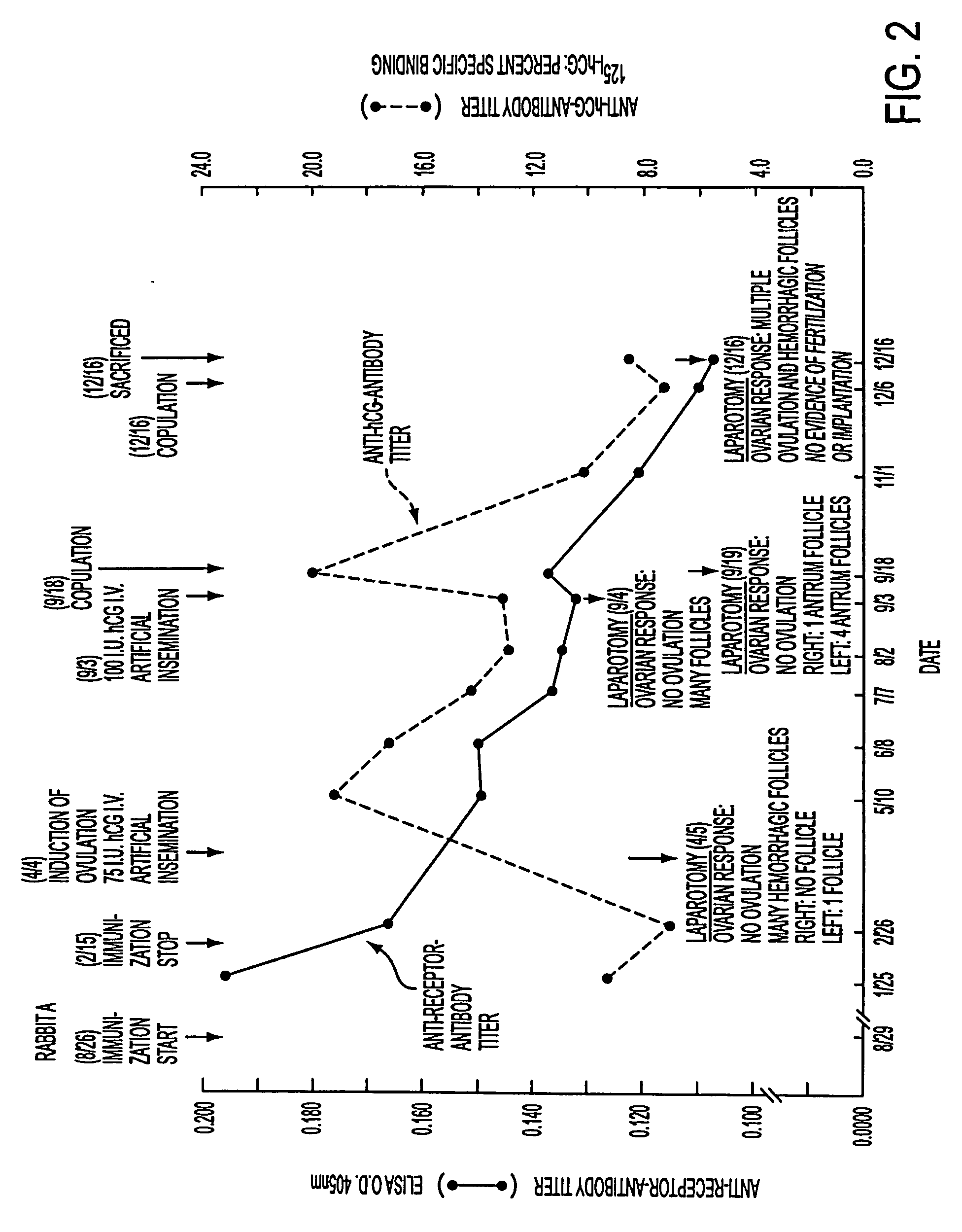 hCG-hLH receptor and hCG-hLH receptor-hCG complex as antigens, antibodies thereto and contraceptive vaccine