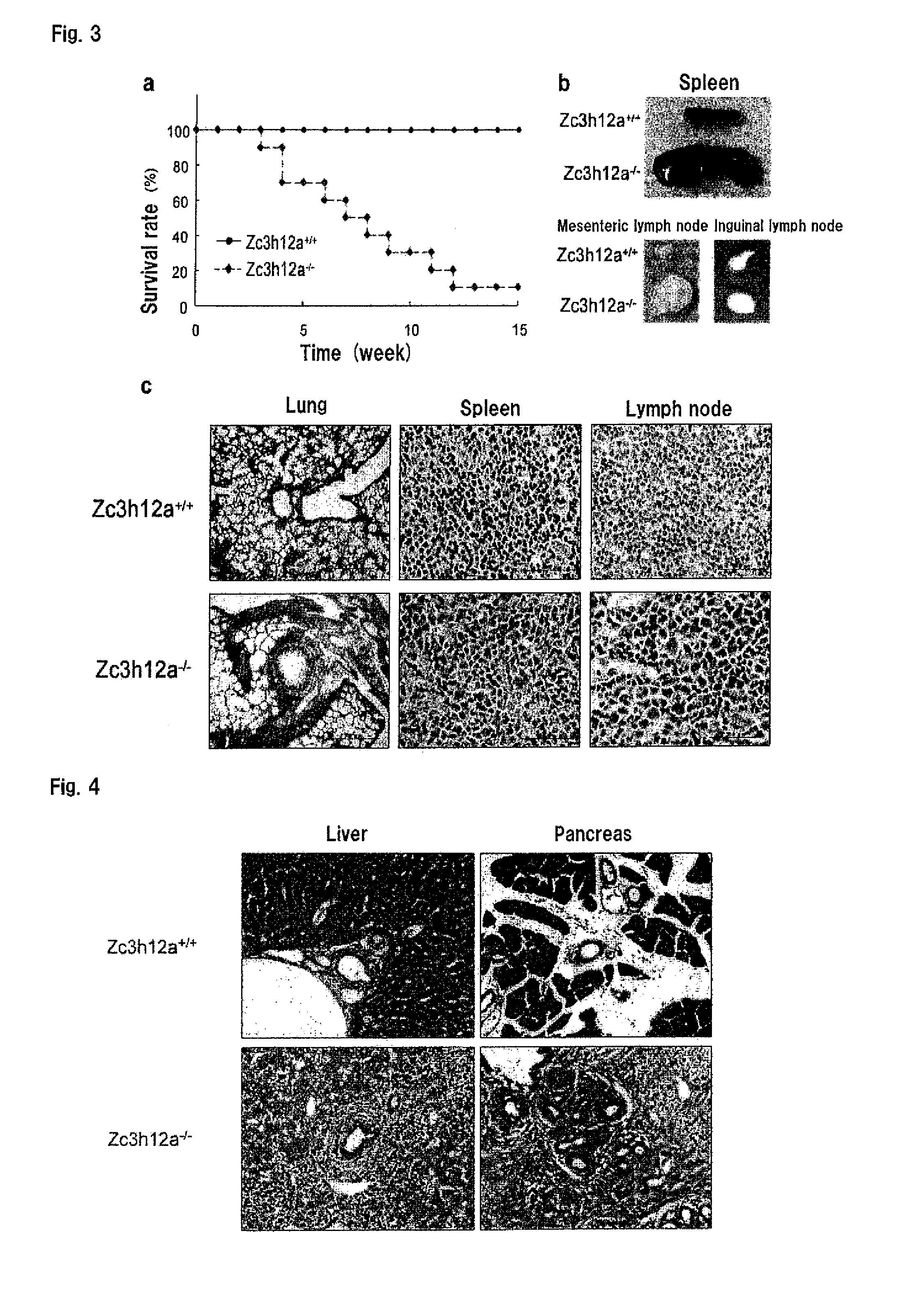 Immunoadjuvant composition and use thereof