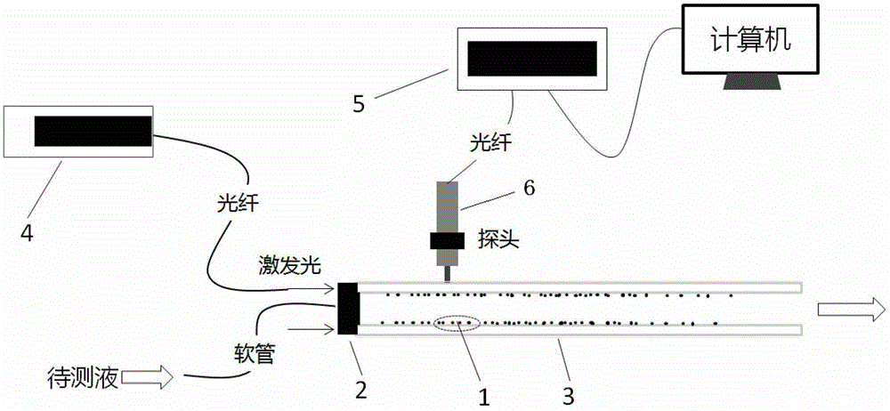 A fluorescent capillary biosensor for glucose